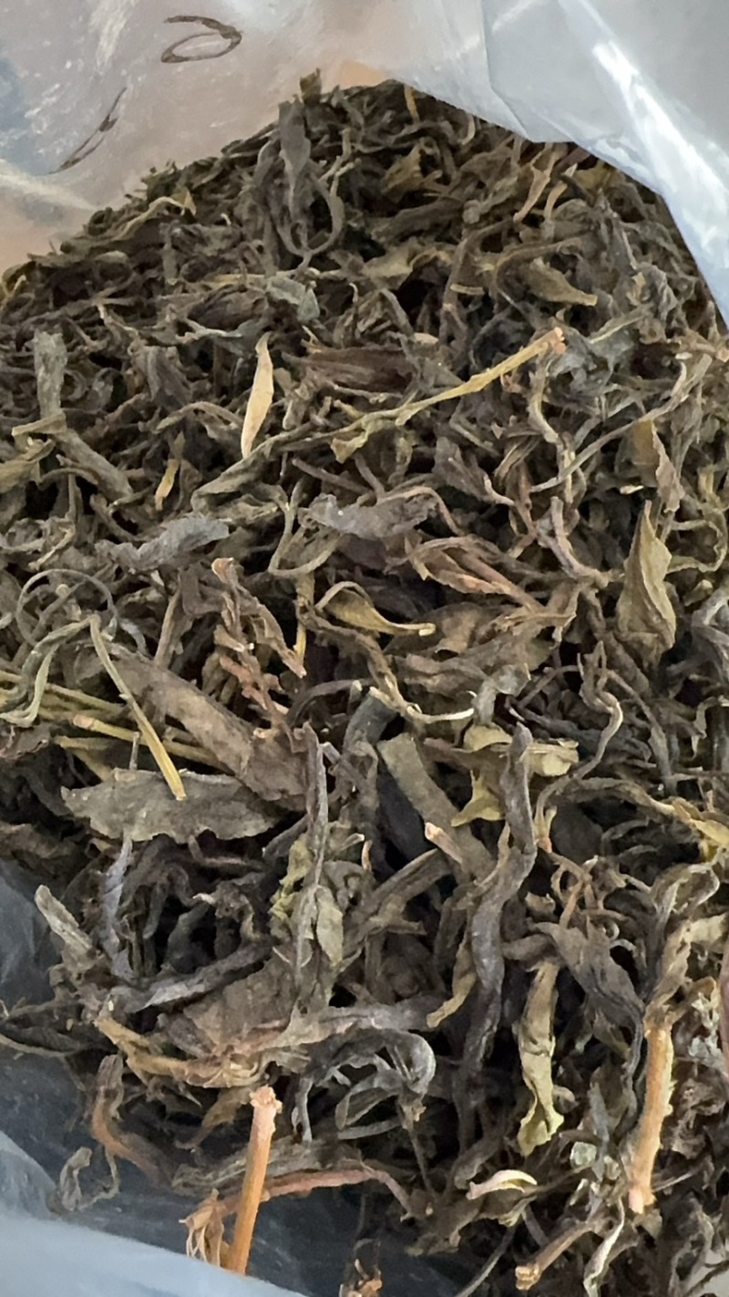 2026年普洱茶春茶散茶大货400吨现货