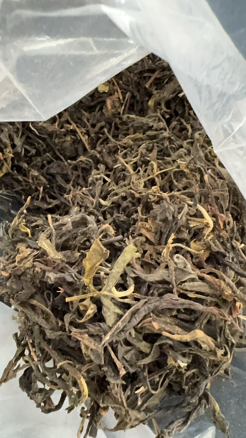 2026年普洱茶春茶散茶大货400吨现货
