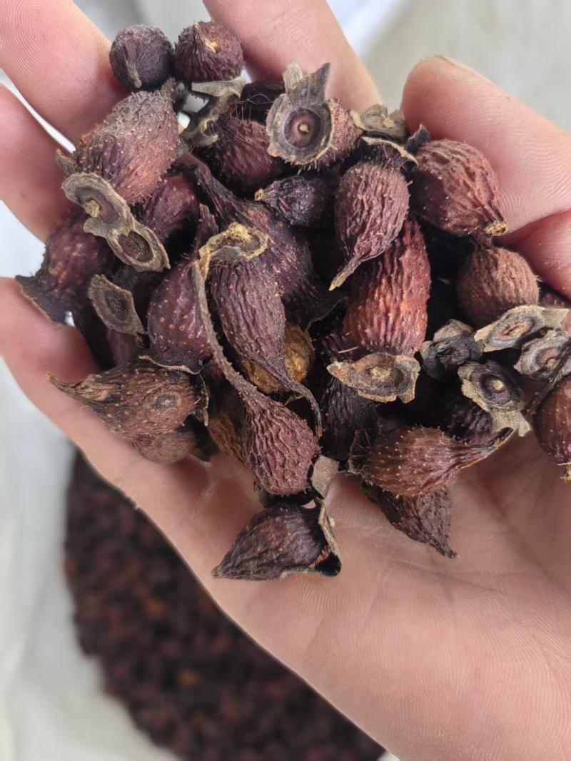 金樱子/自家工厂供货/质量有保证/欢迎前来采购