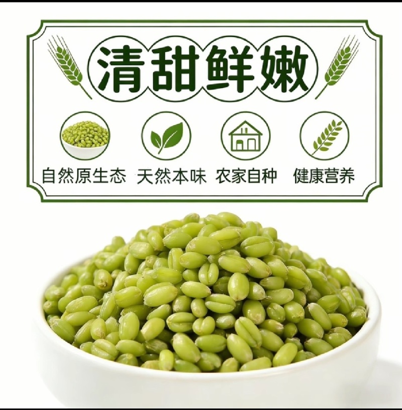 一口爆浆嫩青麦仁2026新货，软糯弹牙满是鲜麦香