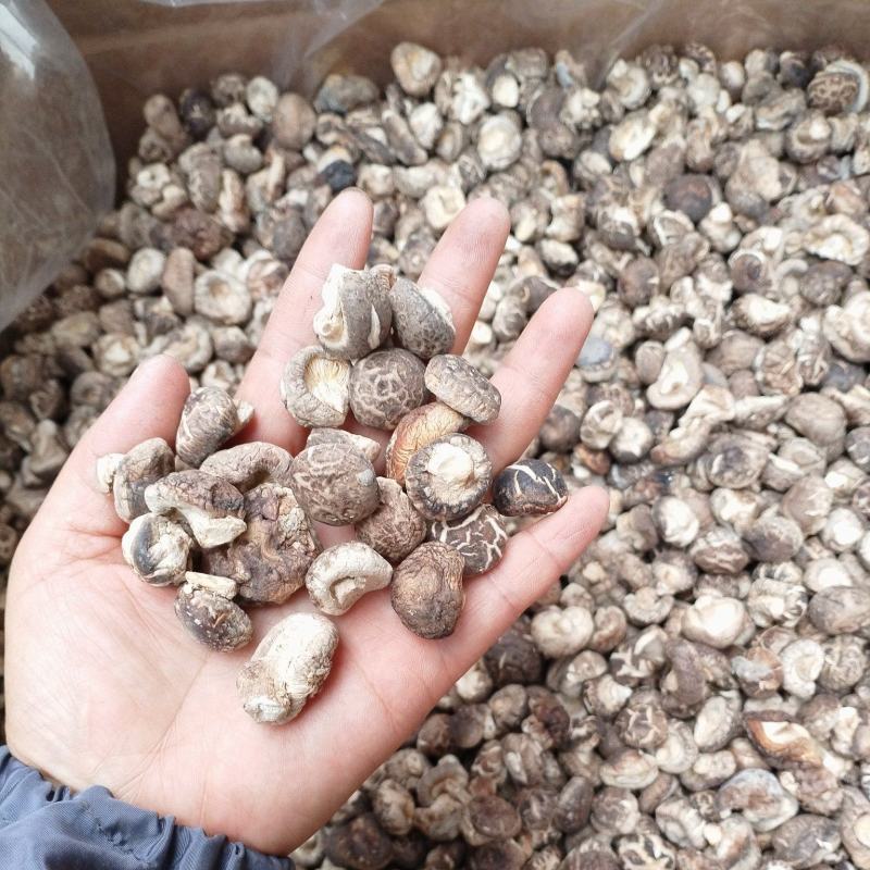 小香菇湖北随州花菇产地一手货源，餐饮、代卖、商务、电商