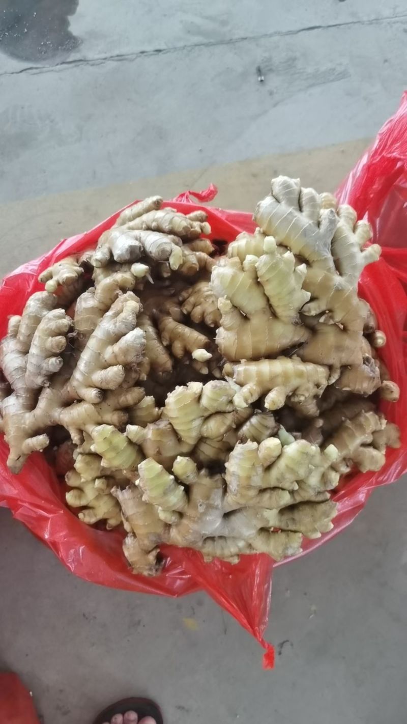 湖南小黄姜，二黄姜，本地生姜，原产地直发