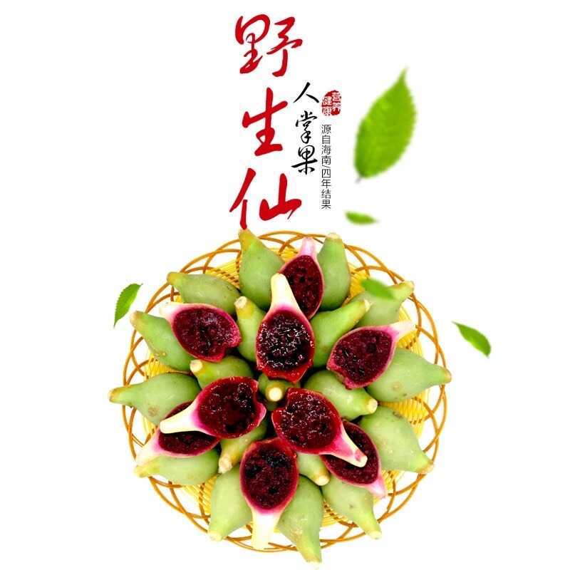 仙人掌果