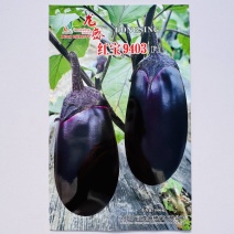 红宝9403紫茄早熟果面紫红灯泡茄种子绿肉籽少合适春大棚