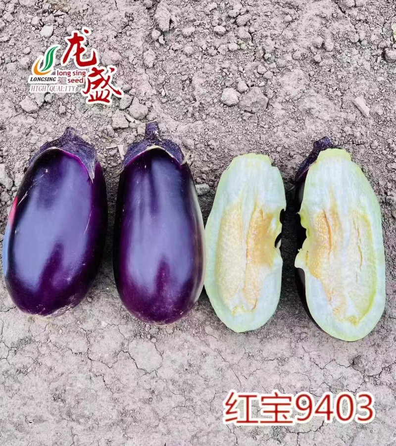 红宝9403紫茄早熟果面紫红灯泡茄种子绿肉籽少合适春大棚