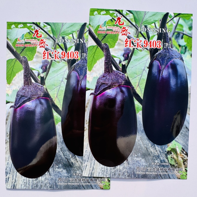 红宝9403紫茄早熟果面紫红灯泡茄种子绿肉籽少合适春大棚