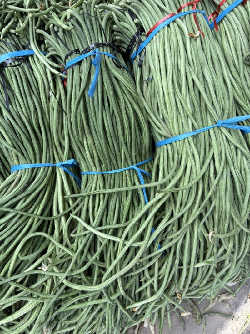 长豆角大量上市
