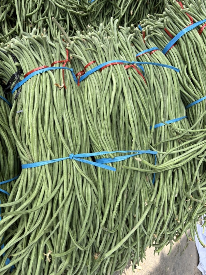 长豆角大量上市