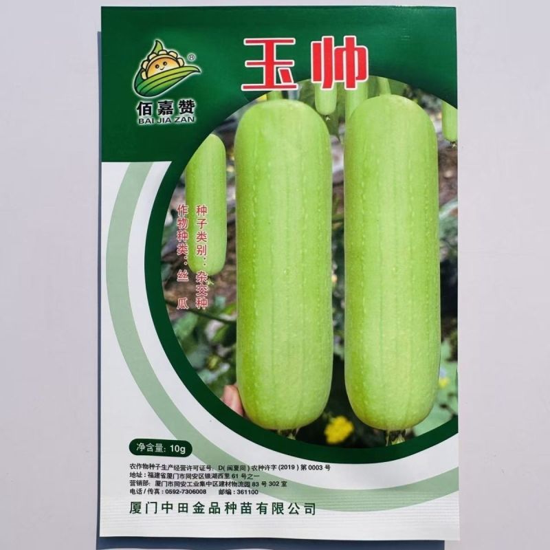 玉帅短棒肉丝瓜种子中早熟果皮绿白光滑油亮肉质紧实细嫩口感