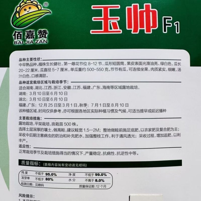 玉帅短棒肉丝瓜种子中早熟果皮绿白光滑油亮肉质紧实细嫩口感
