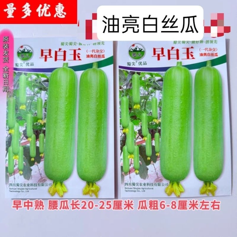 玉帅短棒肉丝瓜种子中早熟果皮绿白光滑油亮肉质紧实细嫩口感