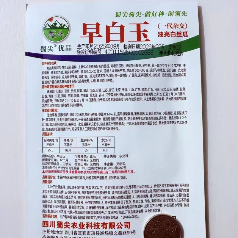 玉帅短棒肉丝瓜种子中早熟果皮绿白光滑油亮肉质紧实细嫩口感