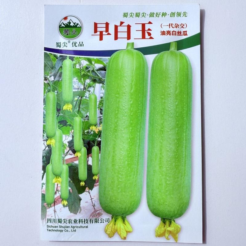 玉帅短棒肉丝瓜种子中早熟果皮绿白光滑油亮肉质紧实细嫩口感