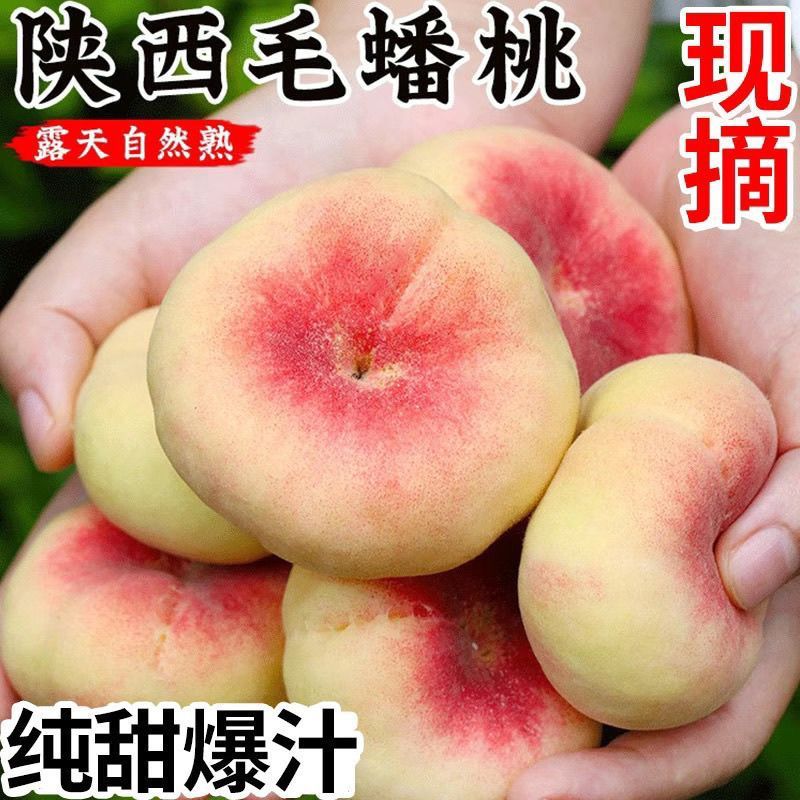 爆汁陕西王母毛蟠桃扁桃新鲜当季水果现摘彩虹蟠桃一件代发