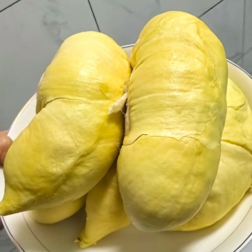 金枕榴莲一手货源，产地直销，坏果包赔