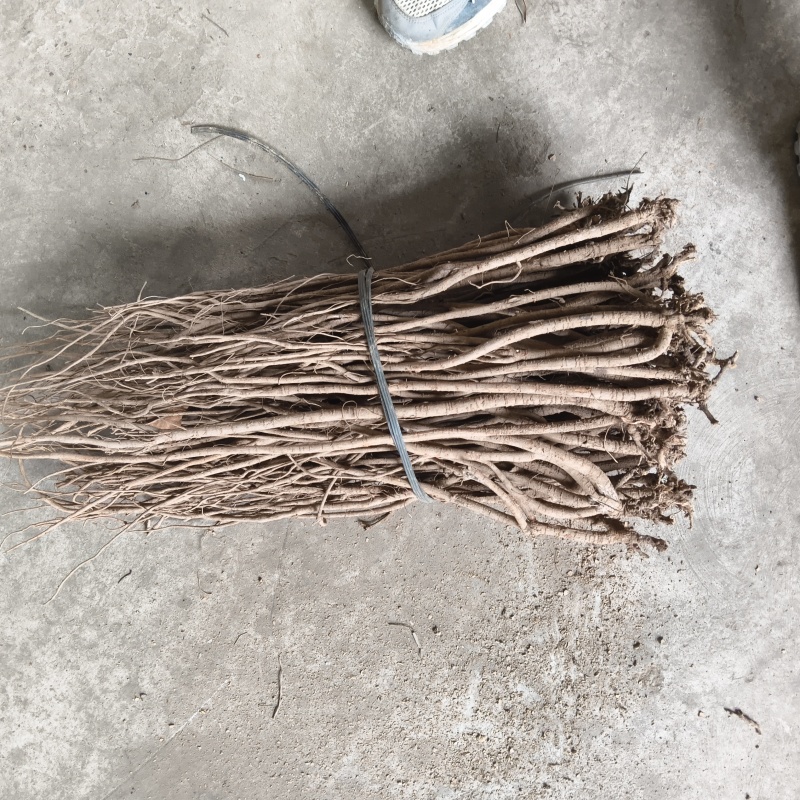 黑小叶千斤拔药材干货供应