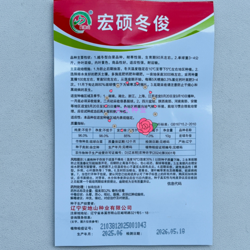 宏硕冬俊一代杂交黄心大白菜越冬型白菜秋播冬储耐抽抗病白菜