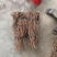 小叶千斤拔药干货供应