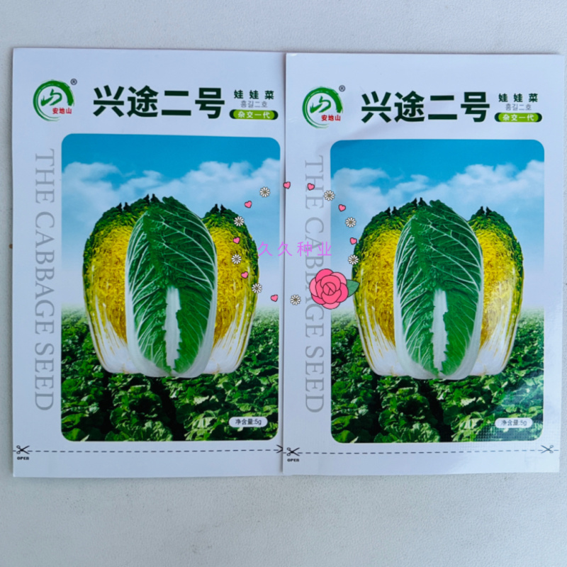 兴途二号娃娃菜种子杂交一代黄心娃娃菜耐抽薹抗病四季播种