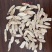 甘肃省定西市岷县原产地直发黄芪瓜子片0.4-2.4