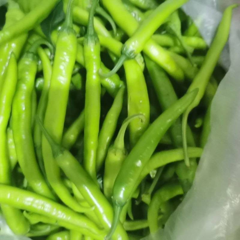 杭椒，线椒