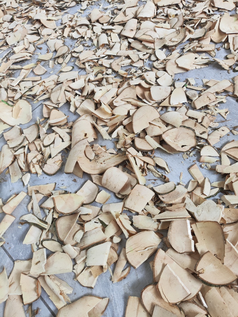 正品野生三叉苦三桠苦三叉虎三丫苦干品