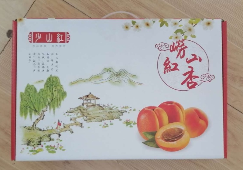 崂山蜜杏，个大味甜