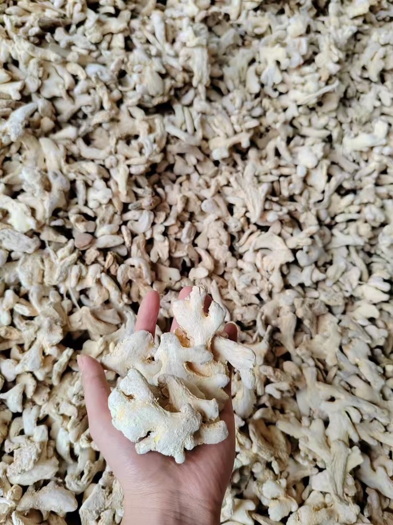 干姜块儿大量有货常年供应对接全国云南产地直发