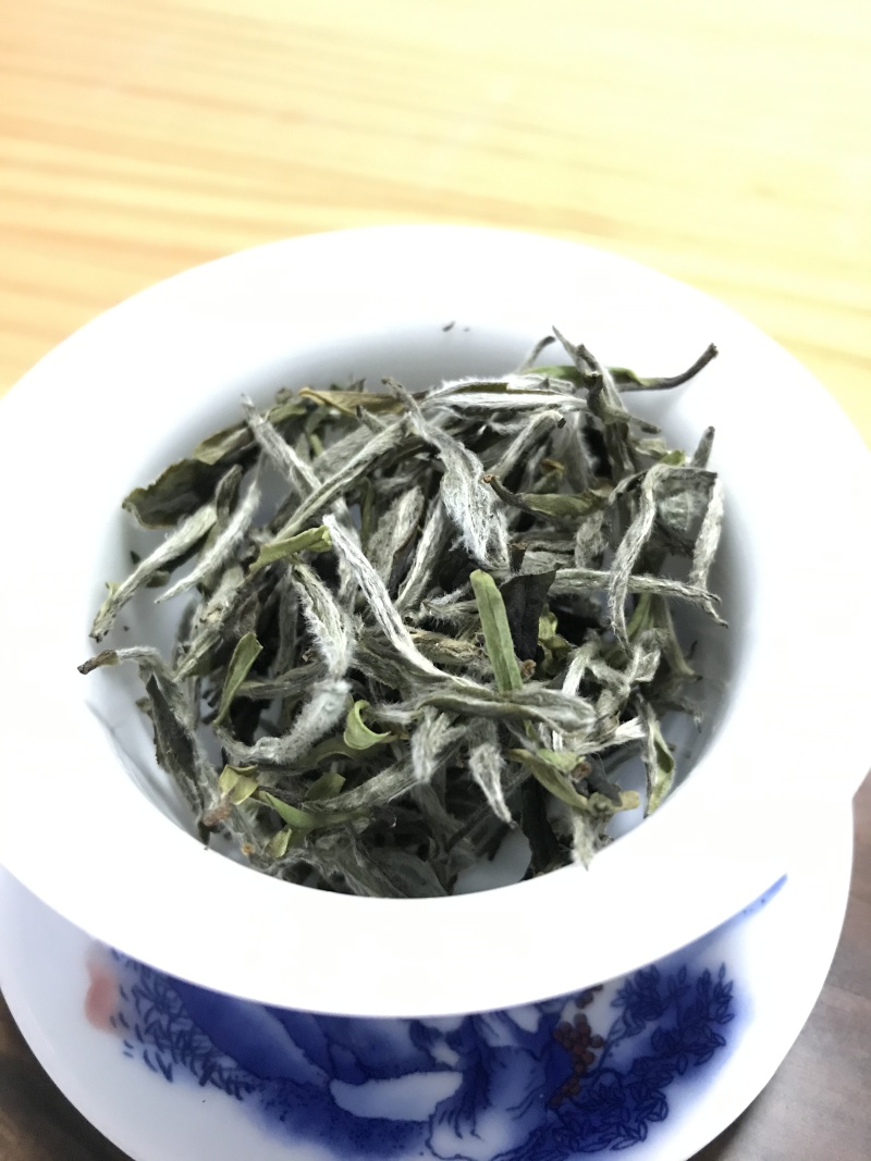 2026年高山纯荒福鼎白茶