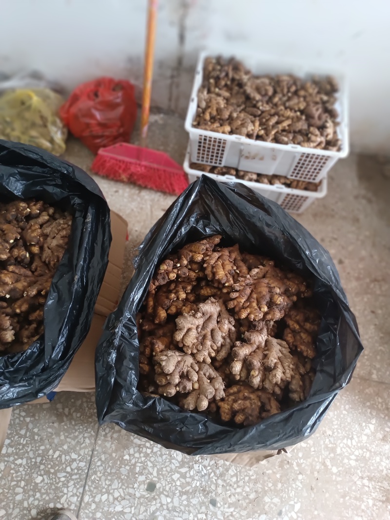 湖南小黄姜，二黄姜，本地生姜，原产地直发