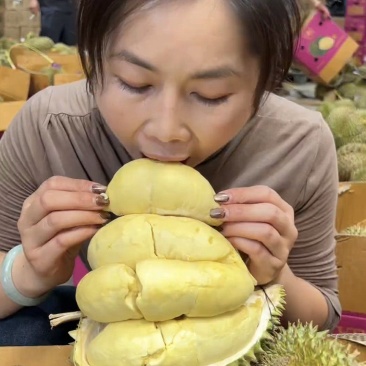 金枕榴莲一手货源，产地直销，坏果包赔