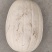 金丝绞瓜