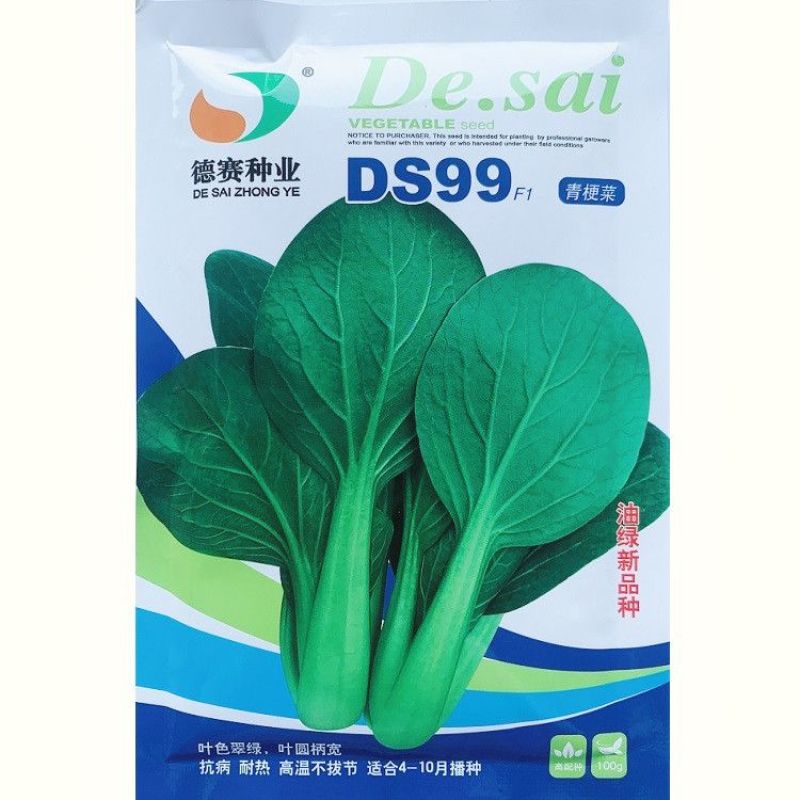 夏秋播种耐热青菜种子夏龙7号夏之丰夏至青梗菜耐高温不拔节