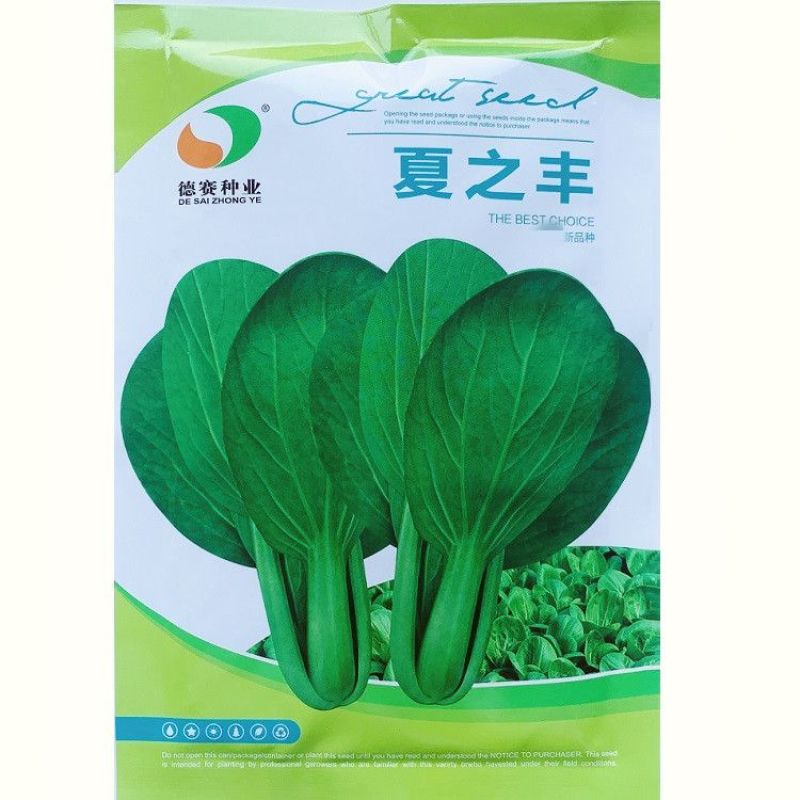 夏秋播种耐热青菜种子夏龙7号夏之丰夏至青梗菜耐高温不拔节