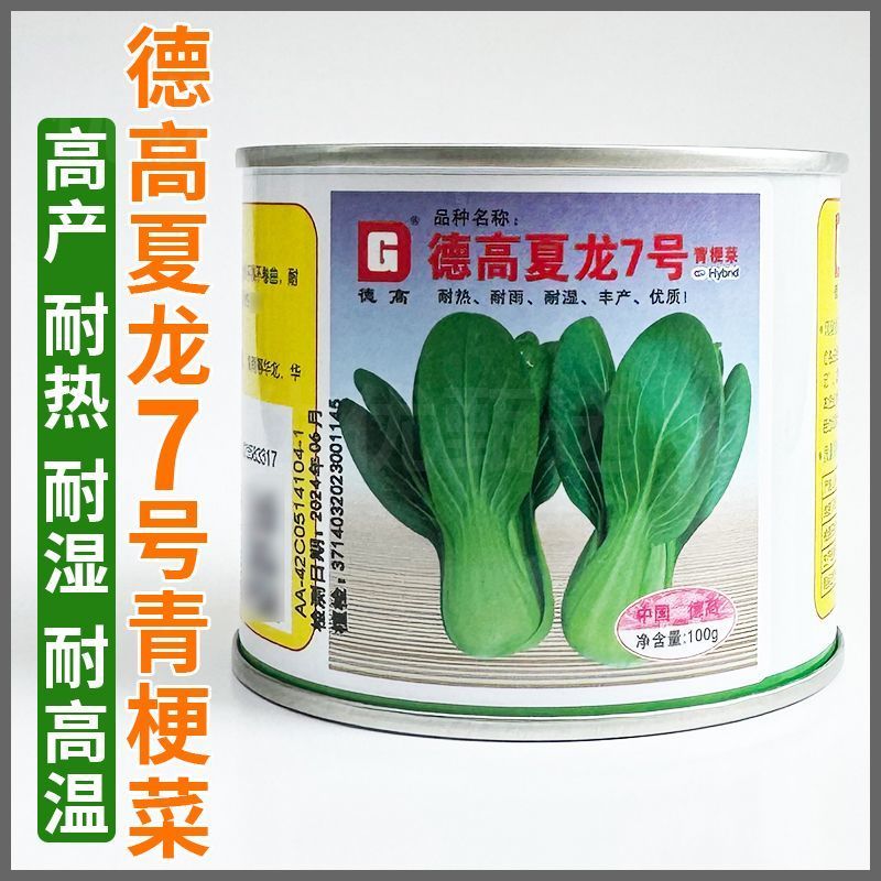 夏秋播种耐热青菜种子夏龙7号夏之丰夏至青梗菜耐高温不拔节