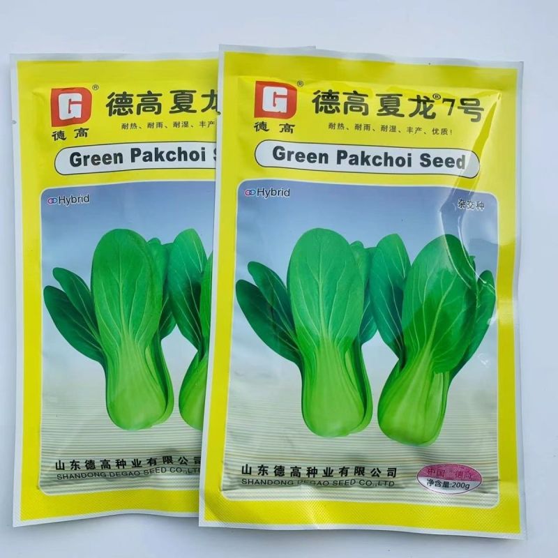 夏秋播种耐热青菜种子夏龙7号夏之丰夏至青梗菜耐高温不拔节