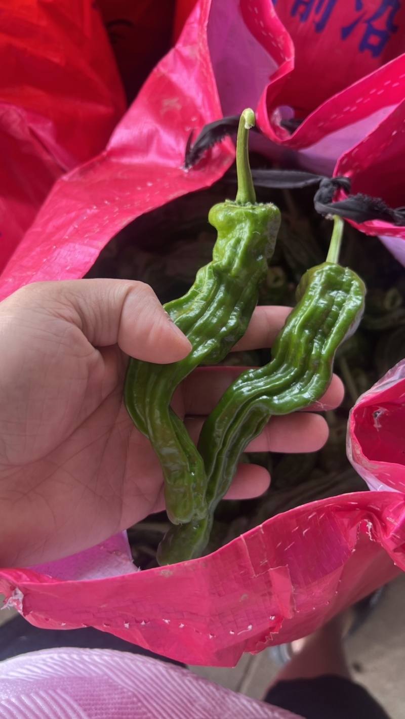 安徽特辣小邹皮量大需要的老板联系我