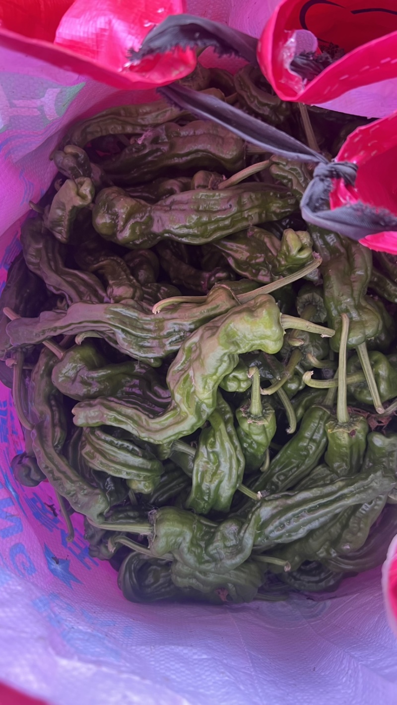 安徽特辣小邹皮量大需要的老板联系我