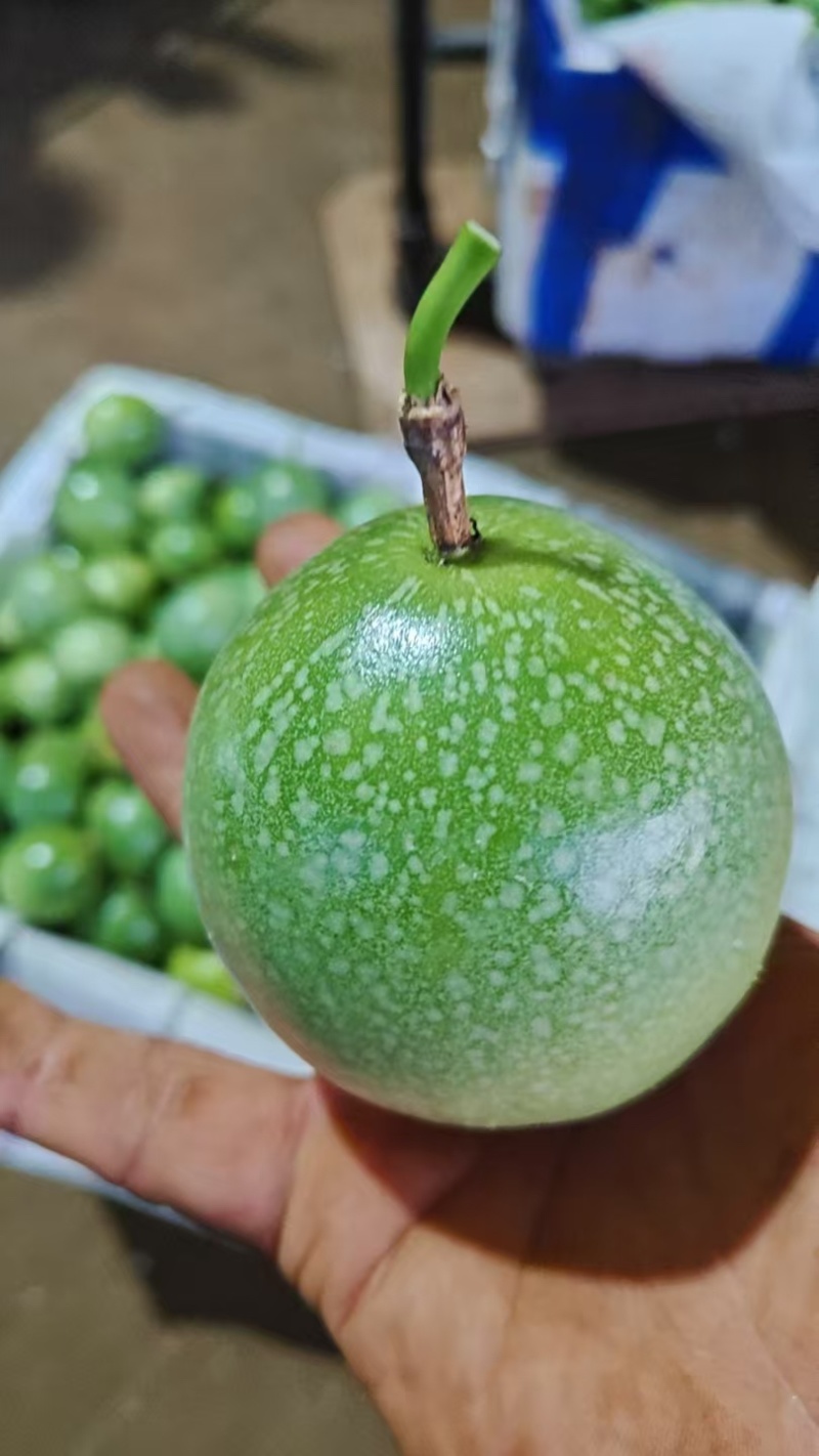 精品百香果产地一手货源全国发货量大价优欢迎随时联系