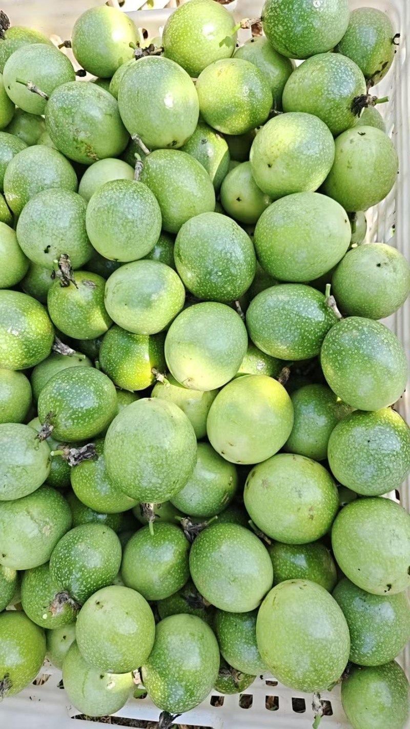 精品百香果产地一手货源全国发货量大价优欢迎随时联系