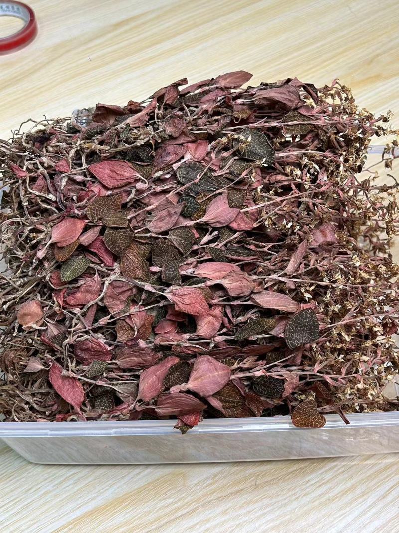 开花金线莲干品