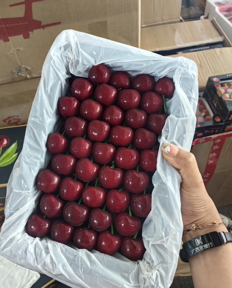 【一件可发】红灯樱桃26-30mm大果品质保障都可对接