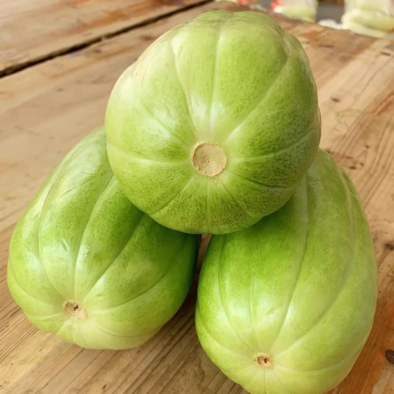江苏青皮菜瓜