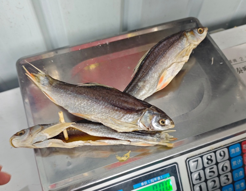 鲮鱼干土鲮鱼干