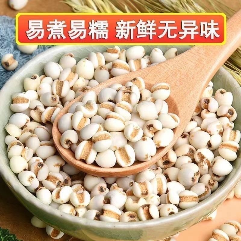 薏米仁中药材食用薏米仁干净无杂质保证正品