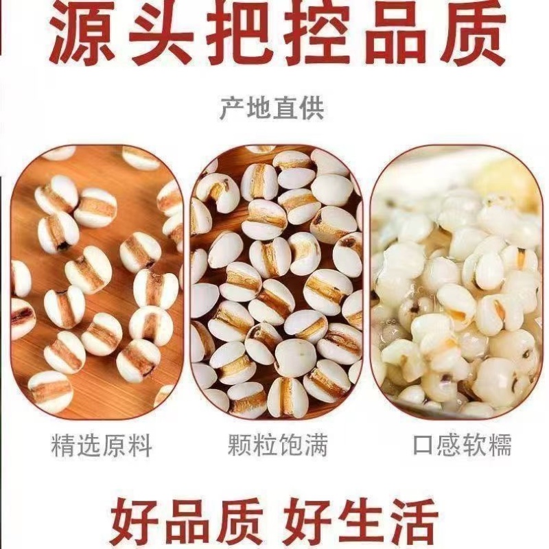 薏米仁中药材食用薏米仁干净无杂质保证正品