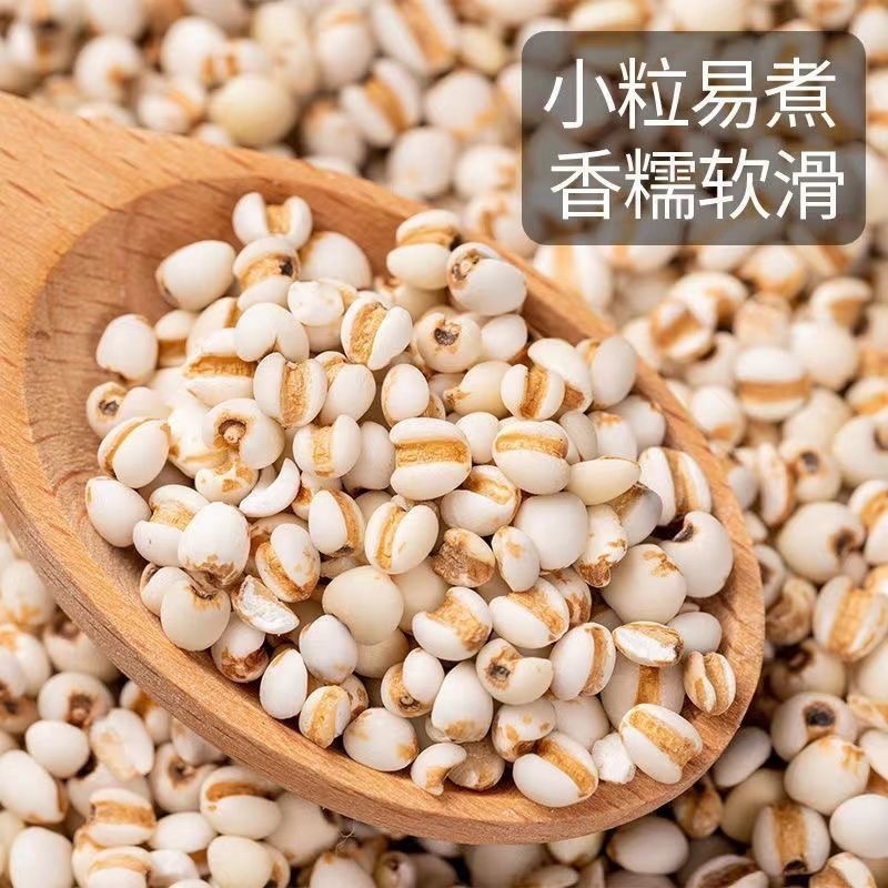 薏米仁中药材食用薏米仁干净无杂质保证正品