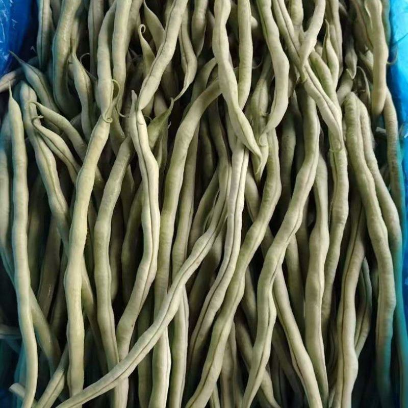 【优选】精品四季豆山西小金豆现摘现发新鲜供应商超档口