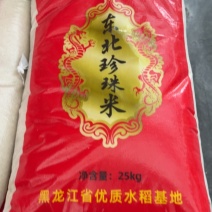 东北珍珠米