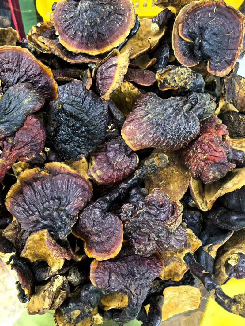 西藏野生灵芝干货中药材泡茶煲汤泡酒养生